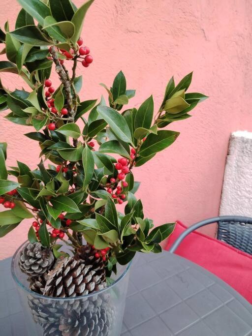 Le Petit Charrier Apartman Aix-en-Provence Kültér fotó