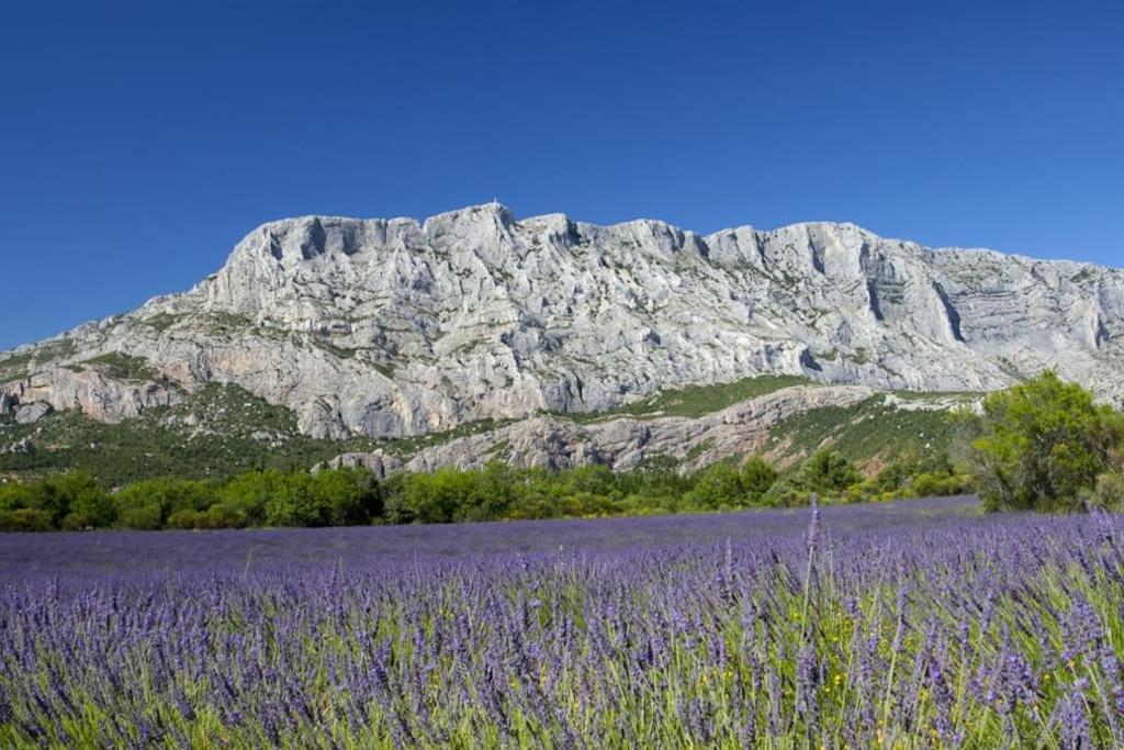Le Petit Charrier Apartman Aix-en-Provence Kültér fotó